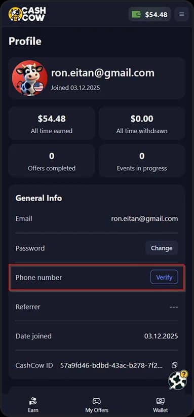Phone verification code entry
